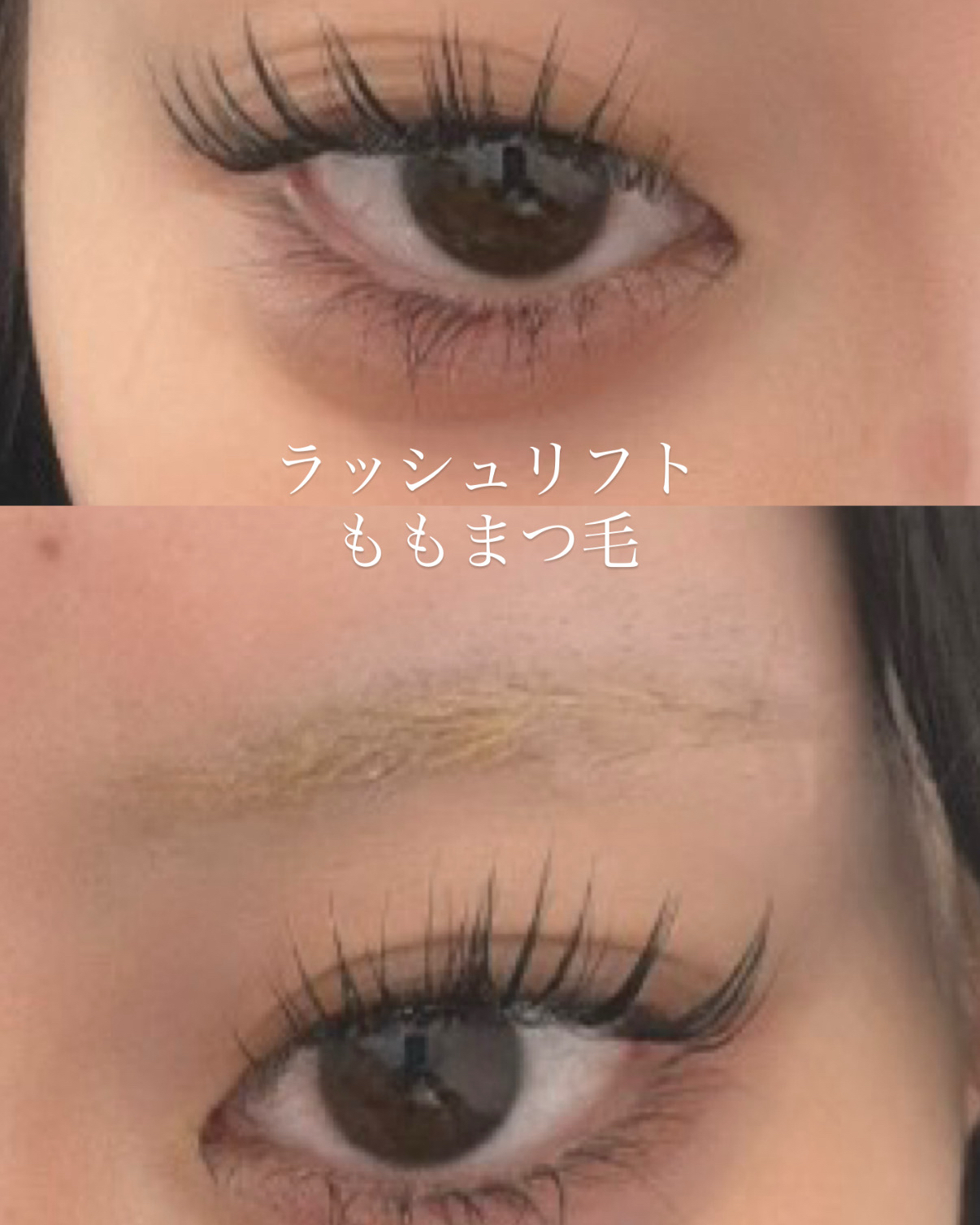 momo.lashroom