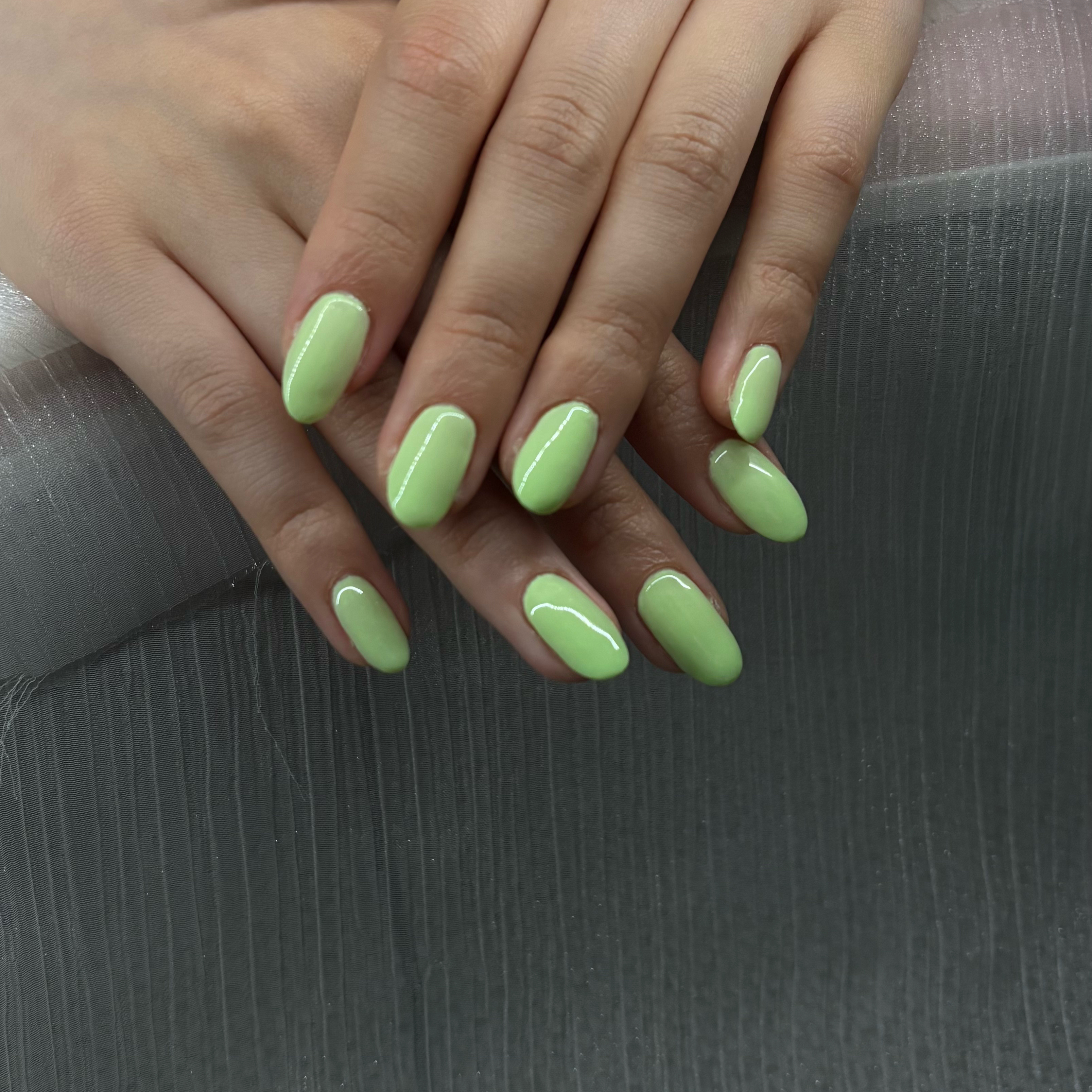 rootsnail