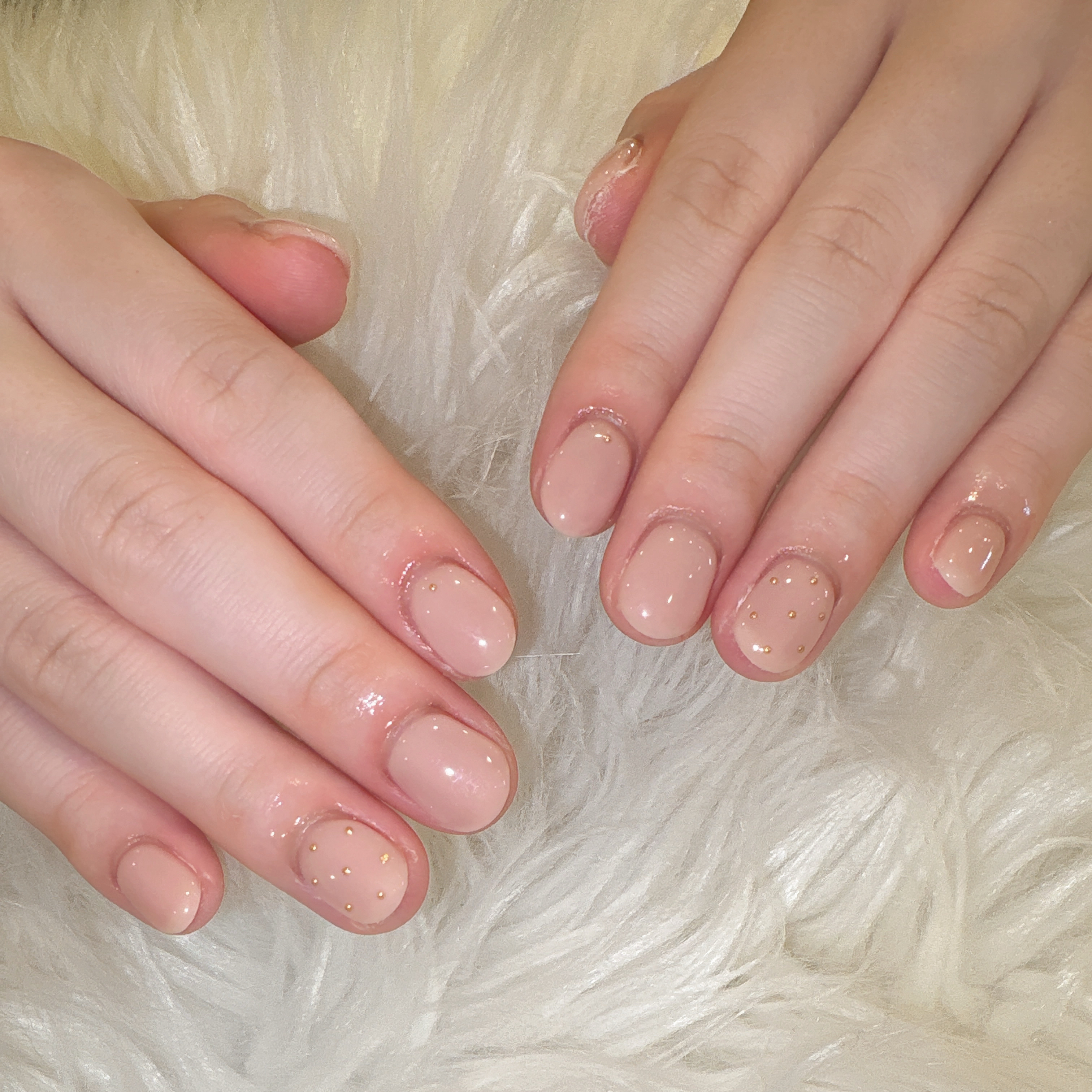 katsura_trunail