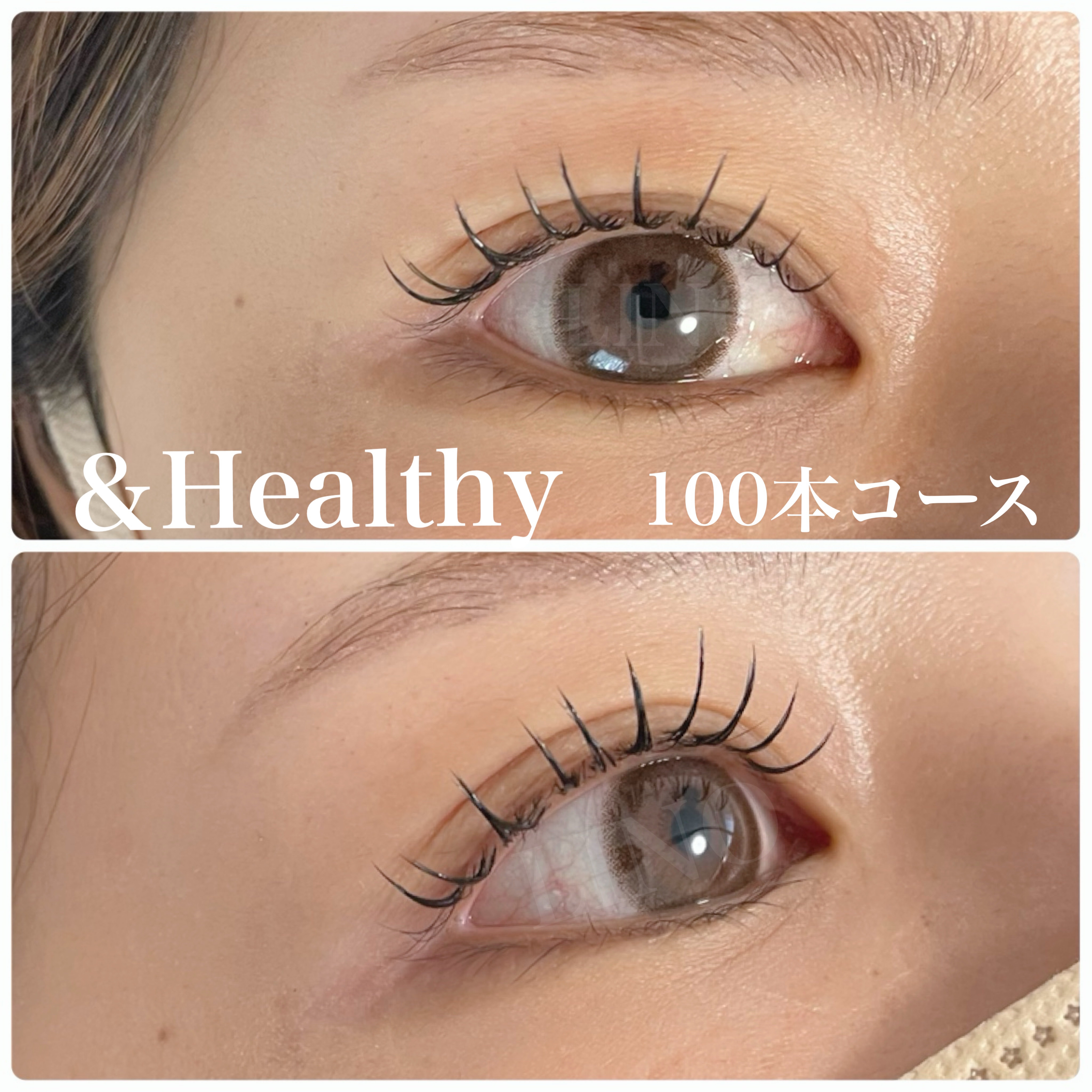 LINO_eyelash.