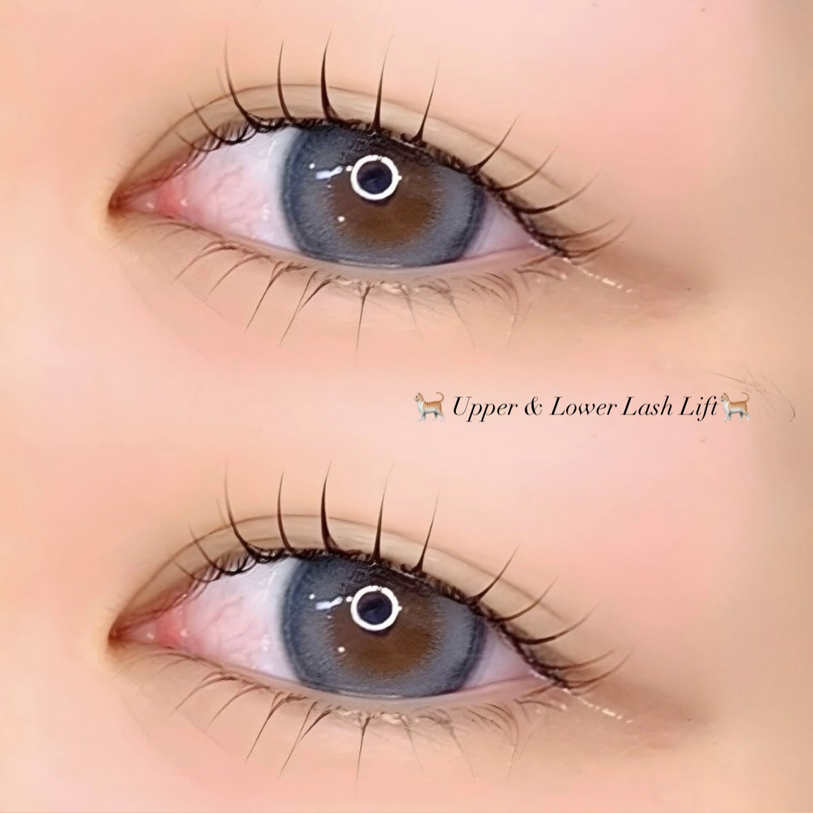 eyelist.YUME