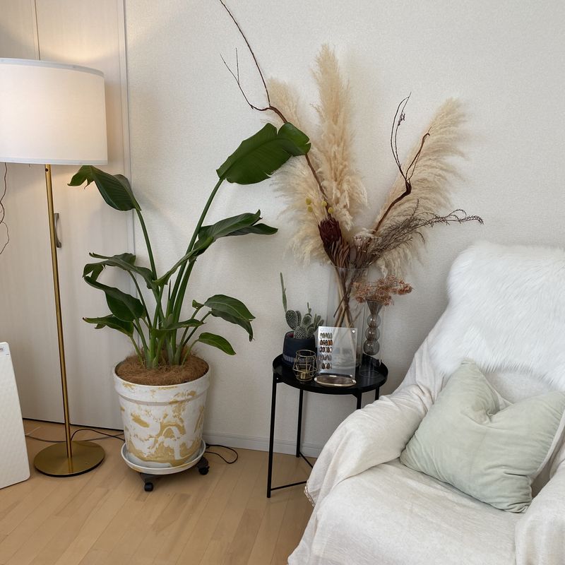 studio MANO