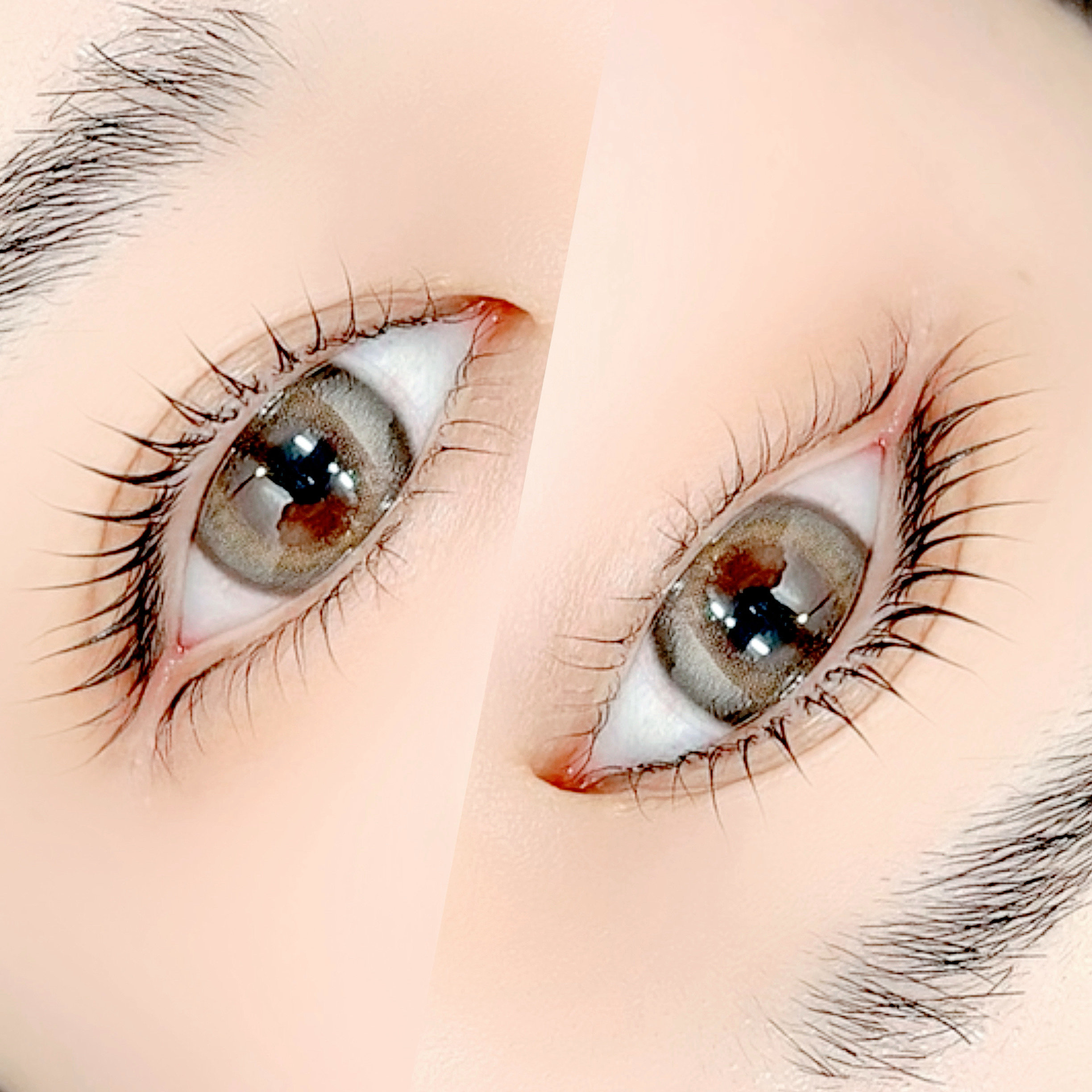 momo.FASTLASH