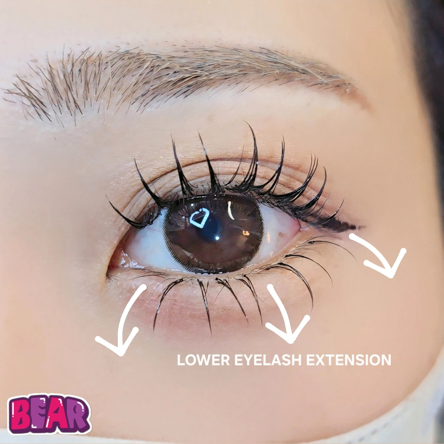 bear._.eyelash