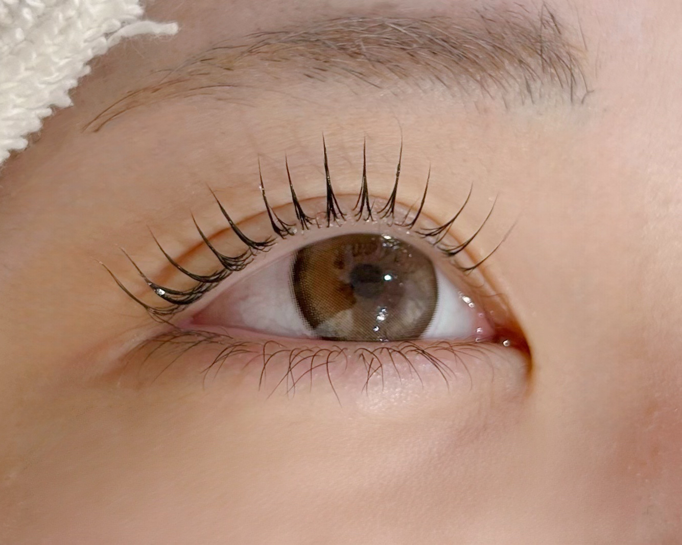 eye_uta