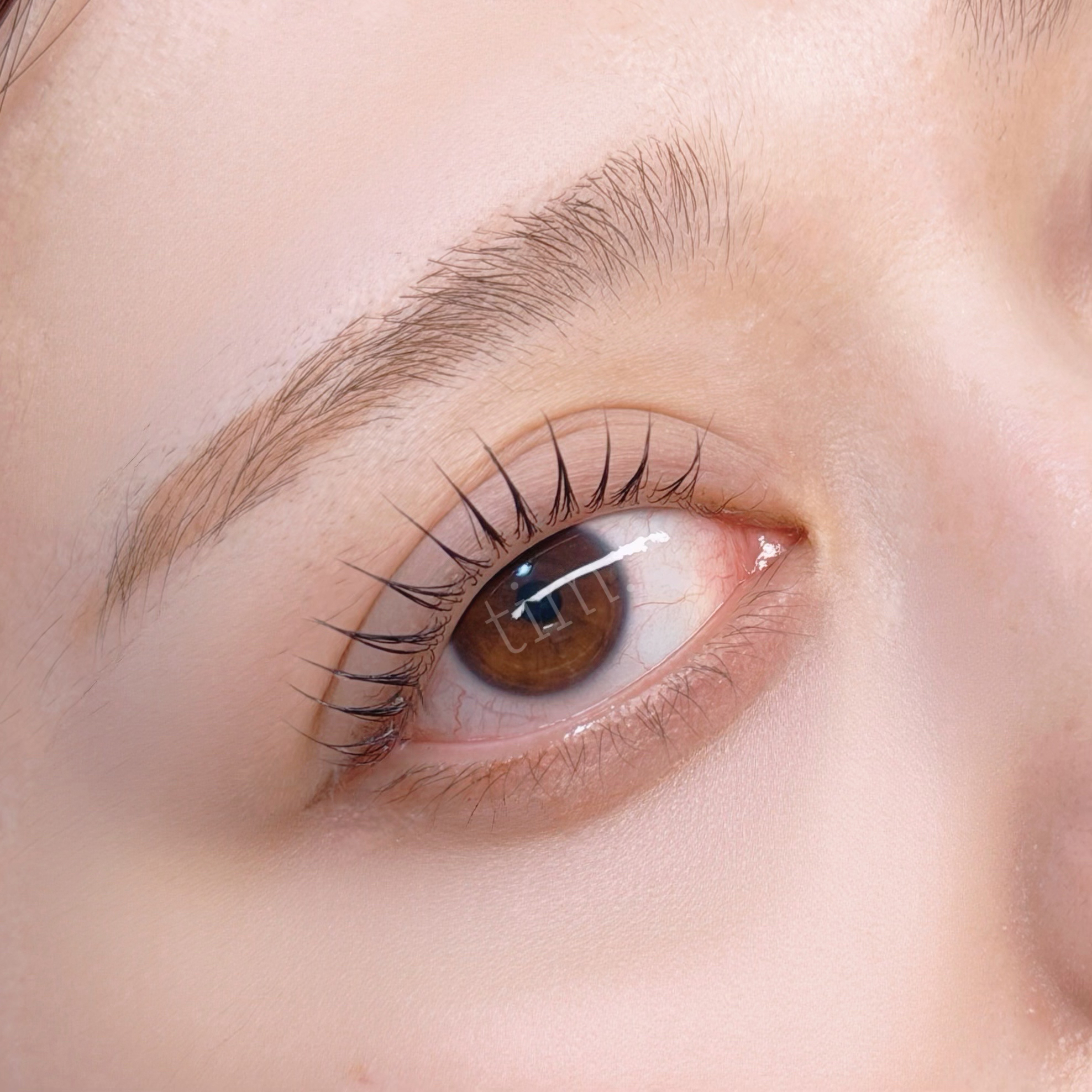 tim.eye