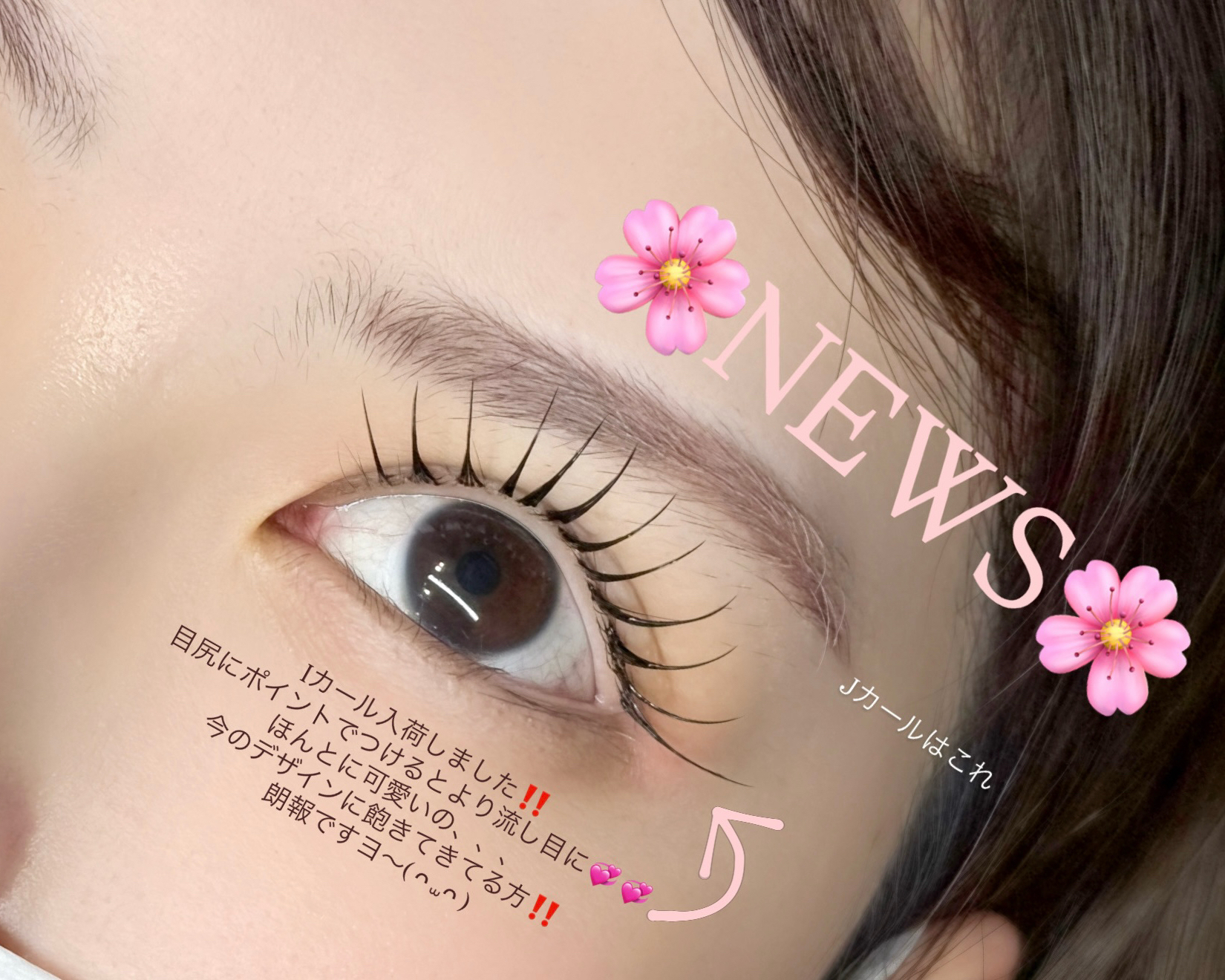 eye_ann_lash