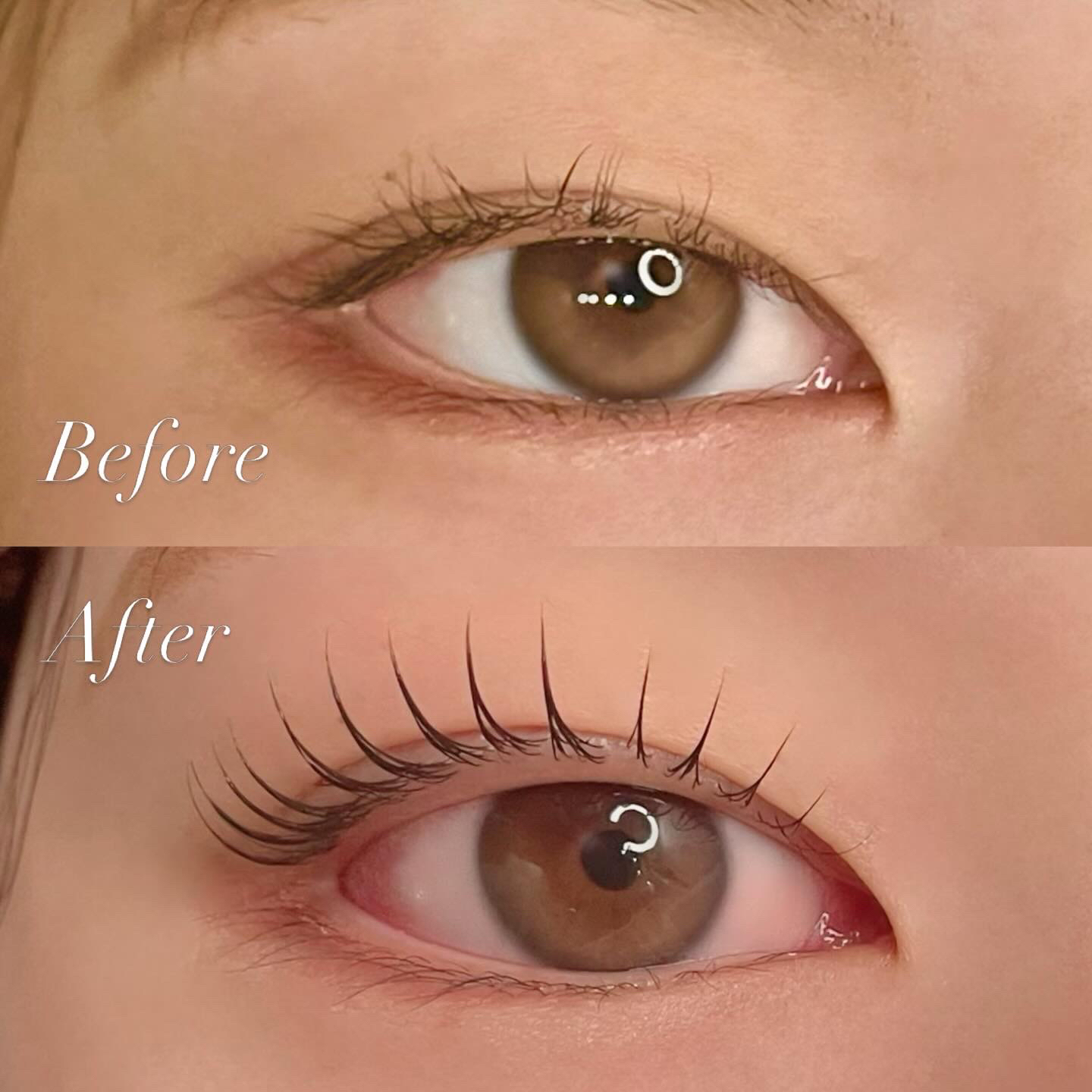 eyelash_a.mi