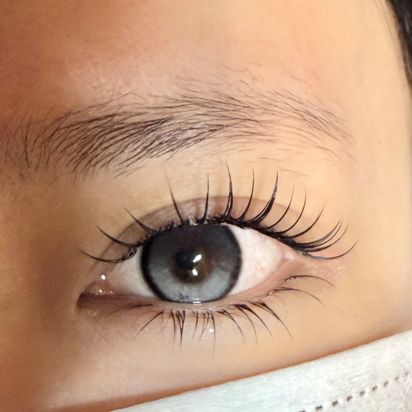 eyelash_kao