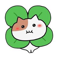 cololocham