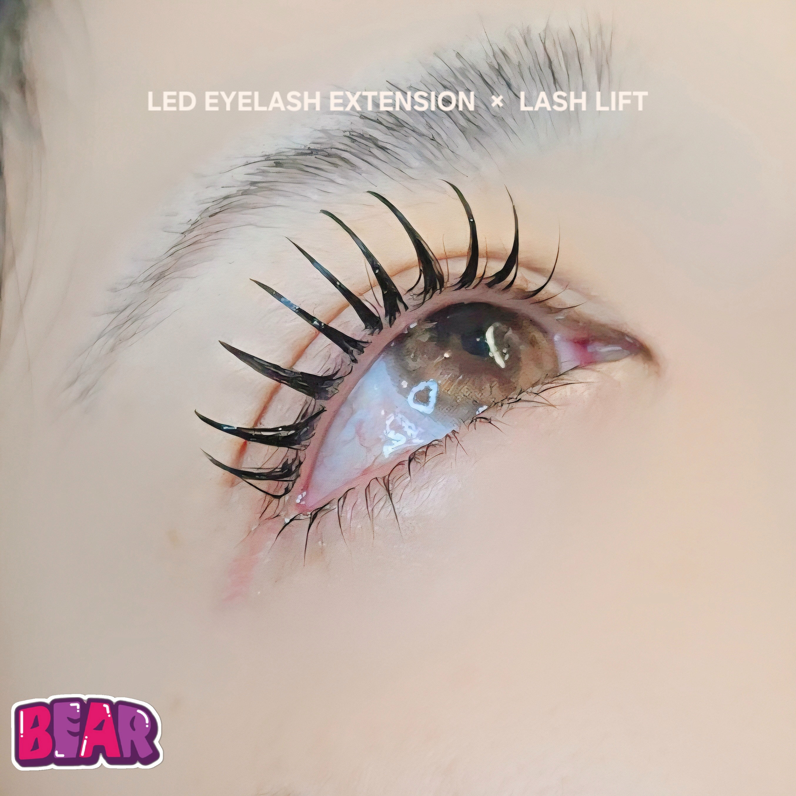 bear._.eyelash