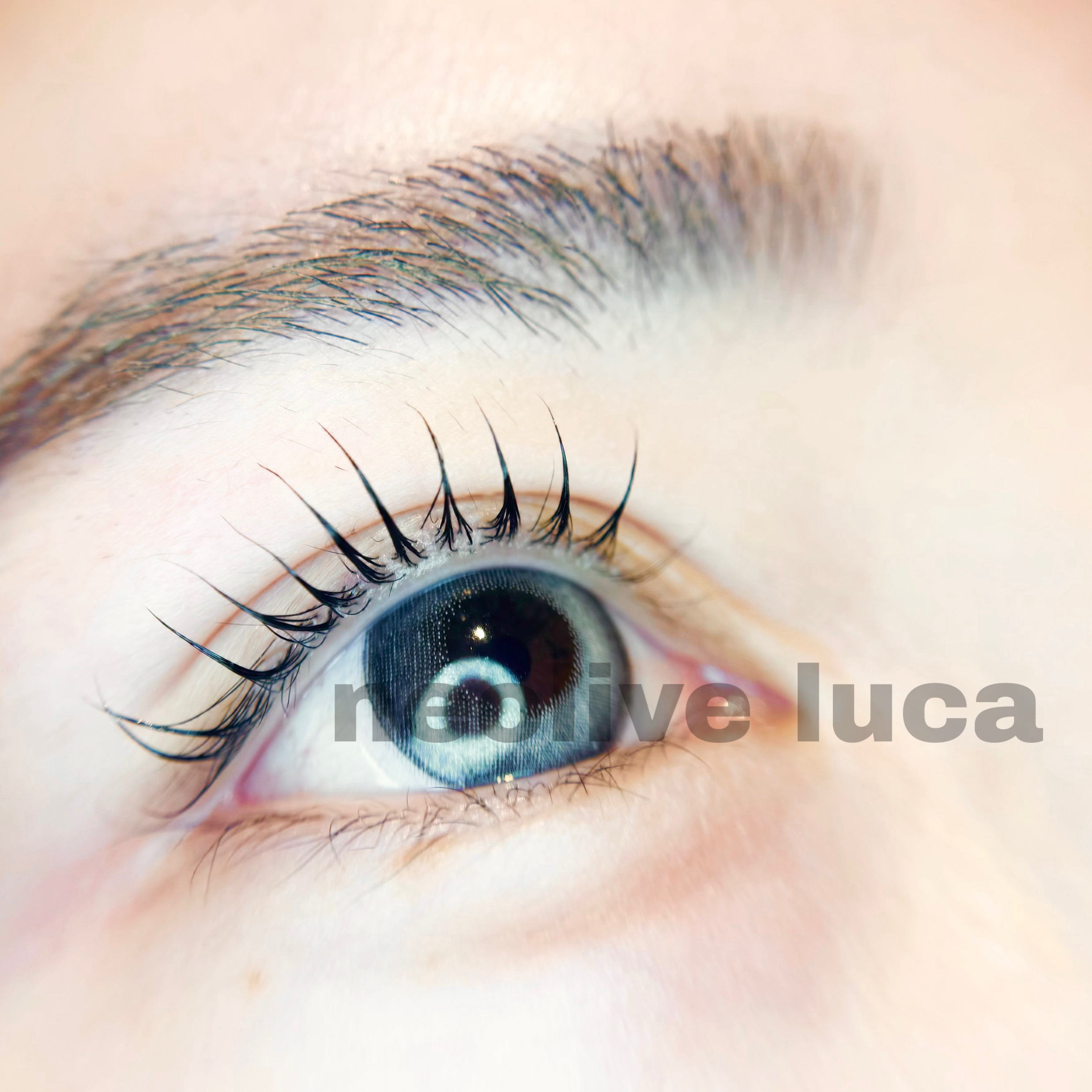Luca_haruka