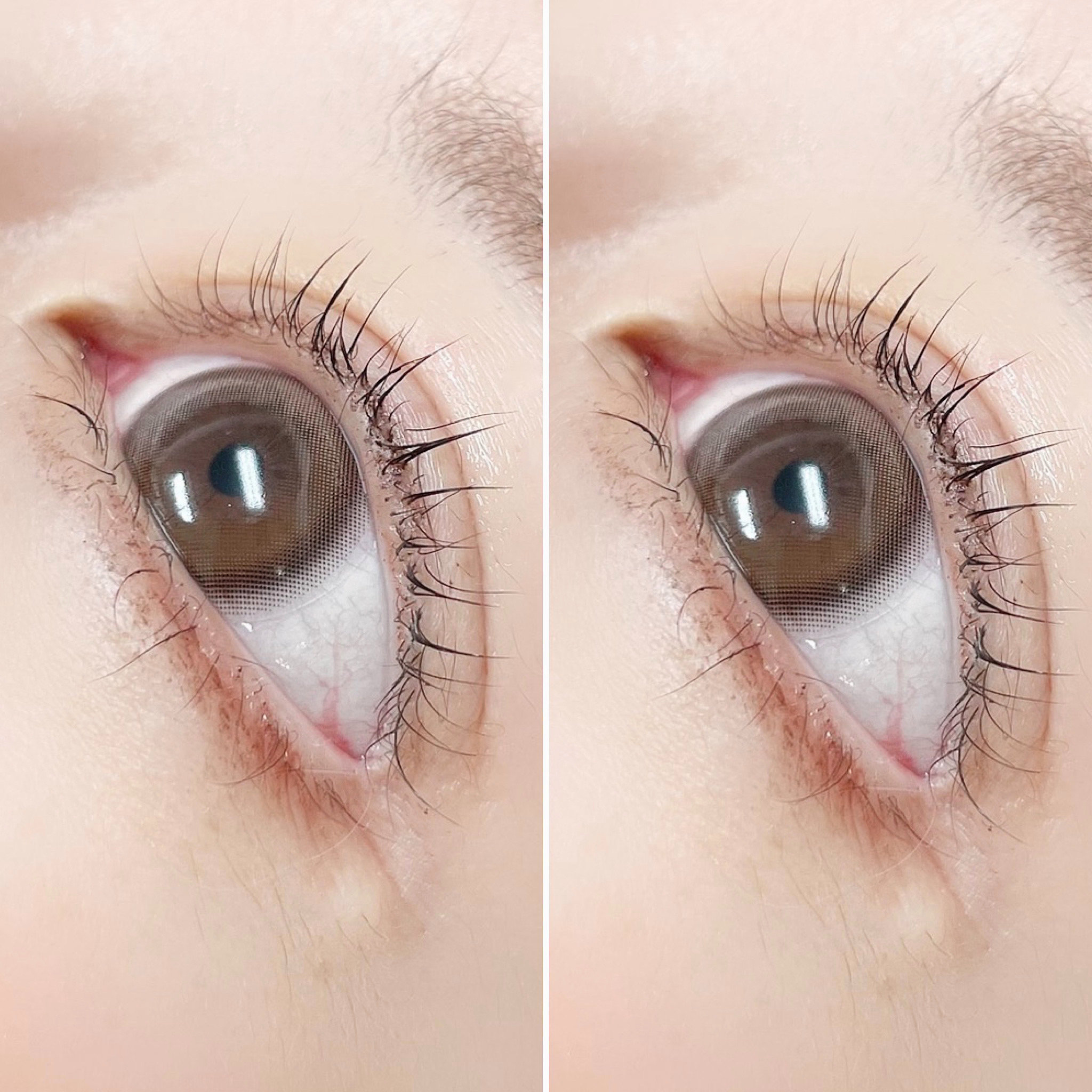lily_eyebeauty