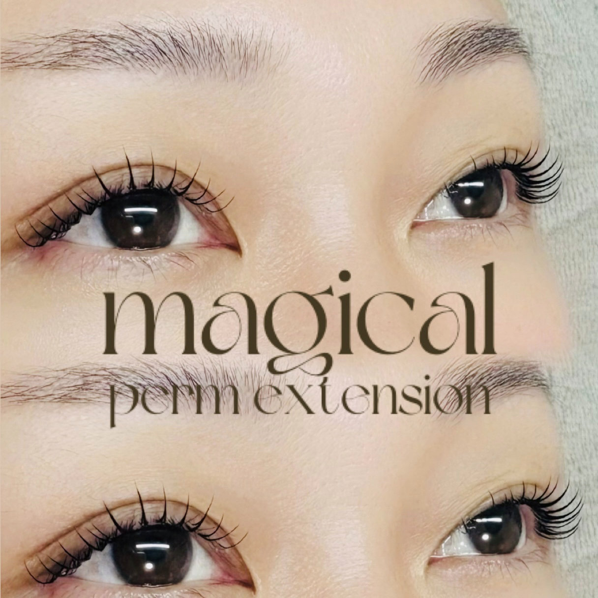 tomomi.fudo