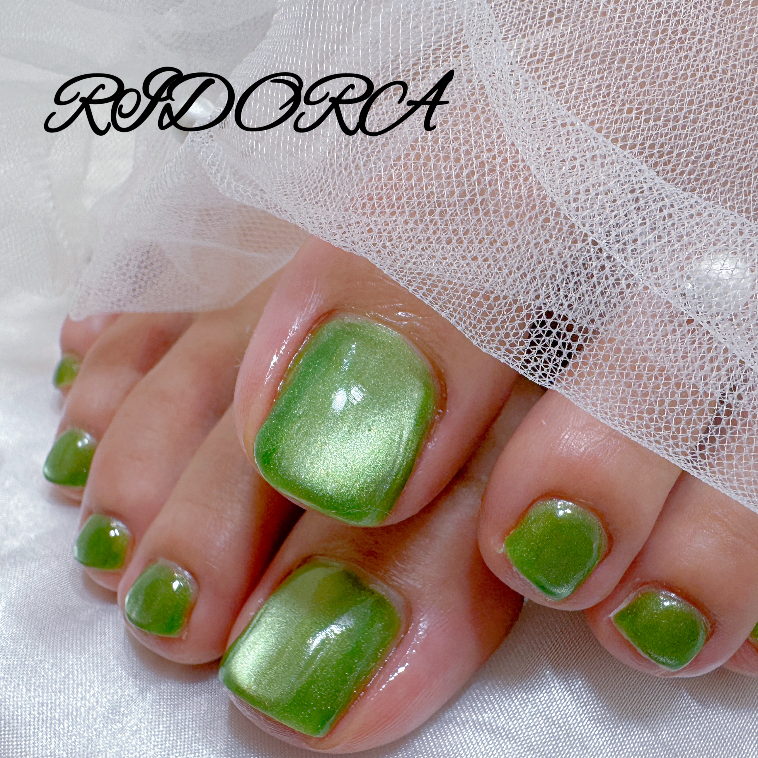 RIDORA