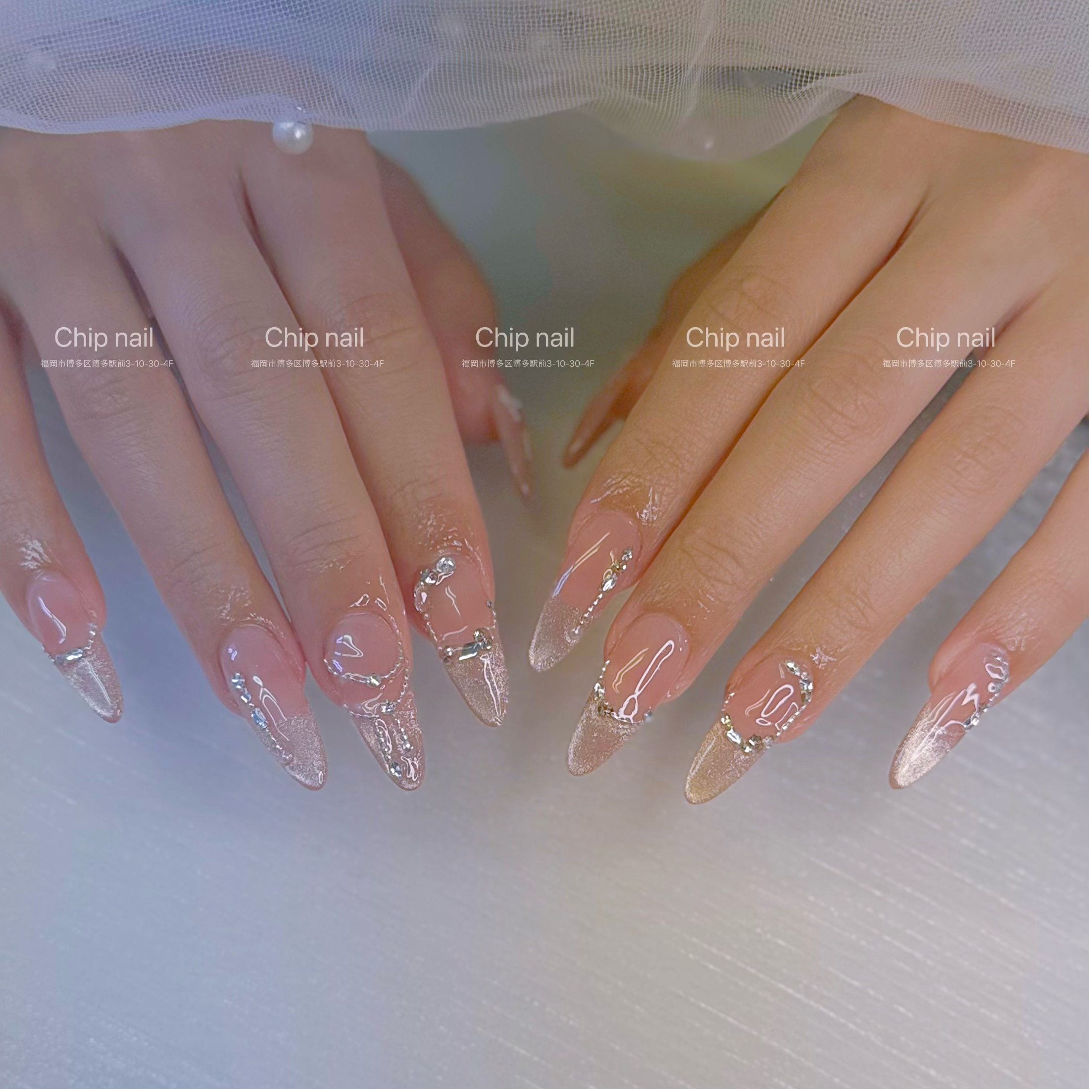 chip_naildragon