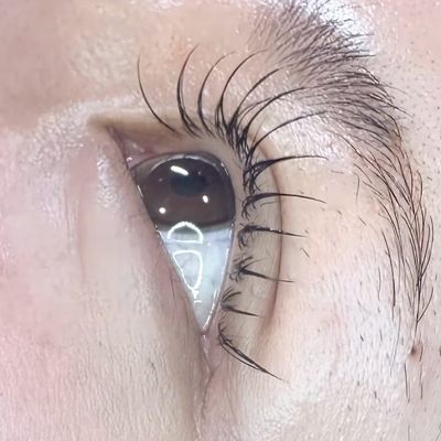 フラットラッシュ80本