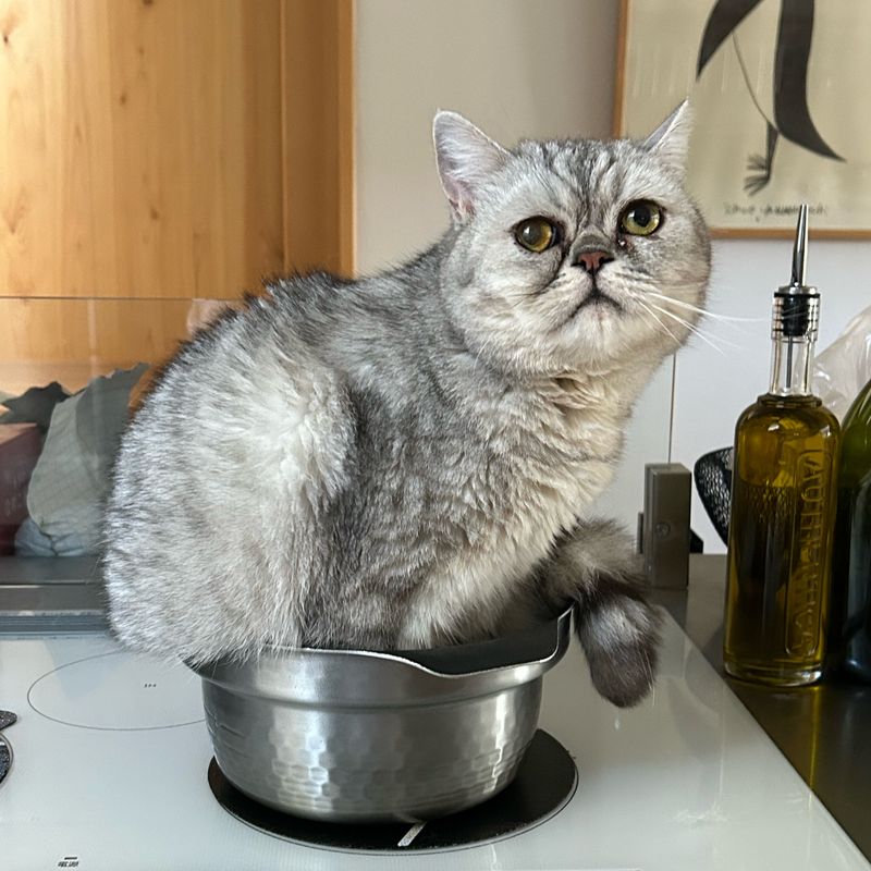 KIKI