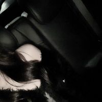 .kotoNE