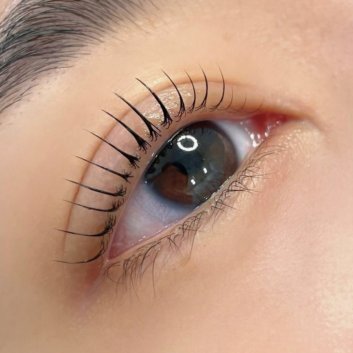 arisa.eye
