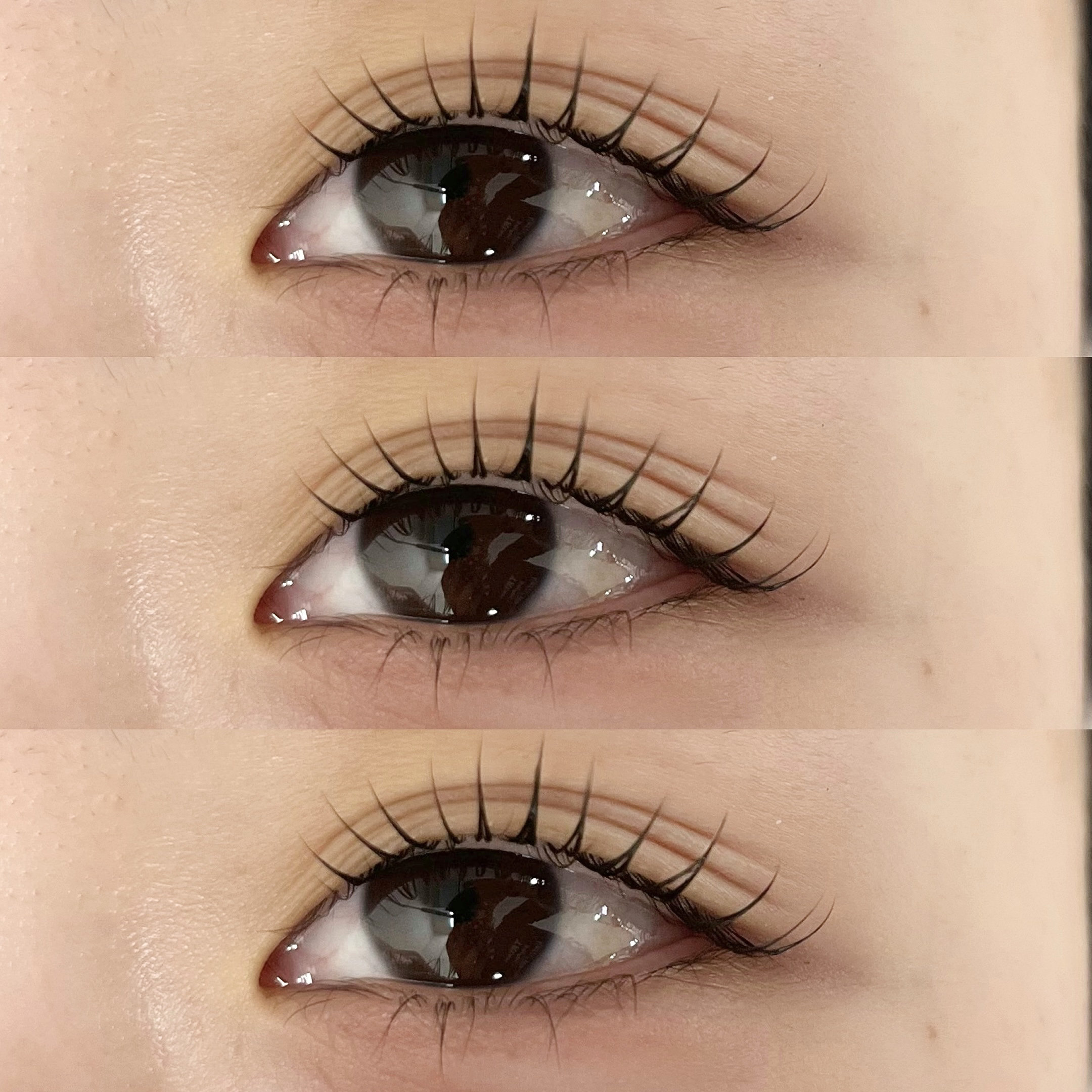 himawari_trueye