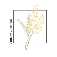 Atelier_mimosa