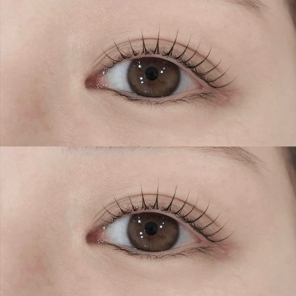 marin_luzlu