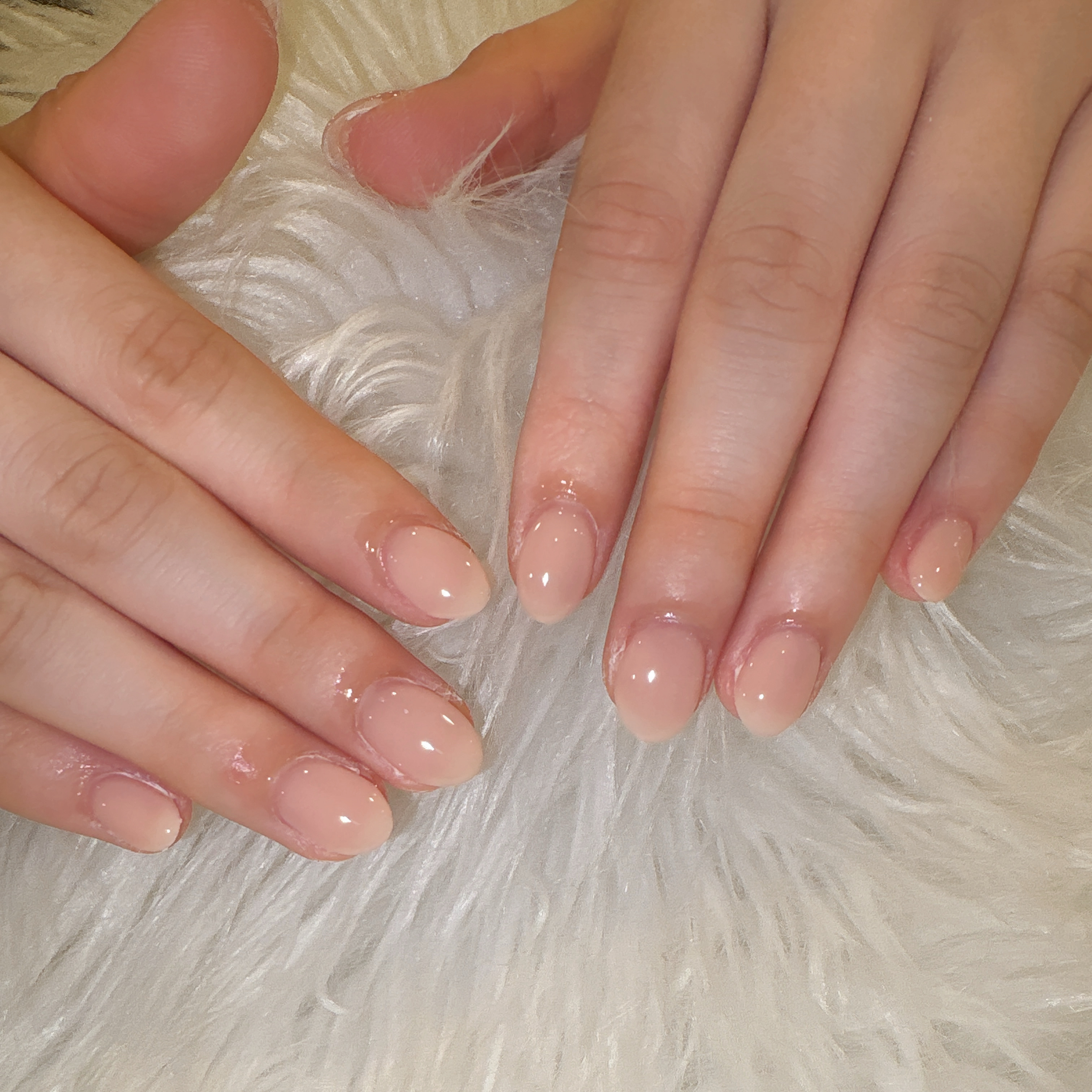 katsura_trunail