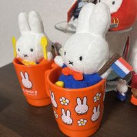mippppy047841