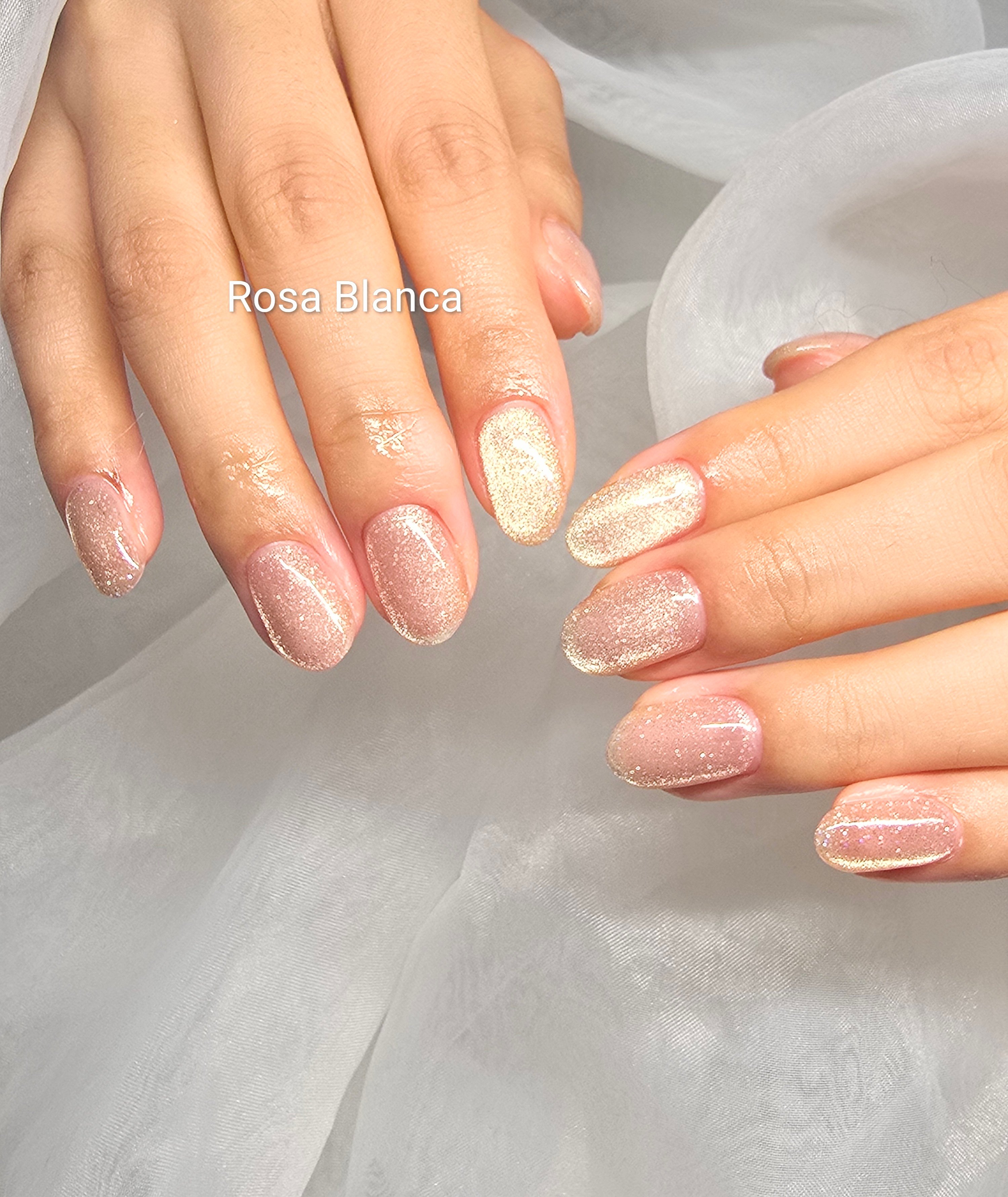 Rosa_Blanca