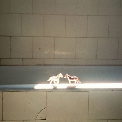 ソフトジェルオフ ⚠︎こちらはオフのみのメニューです。