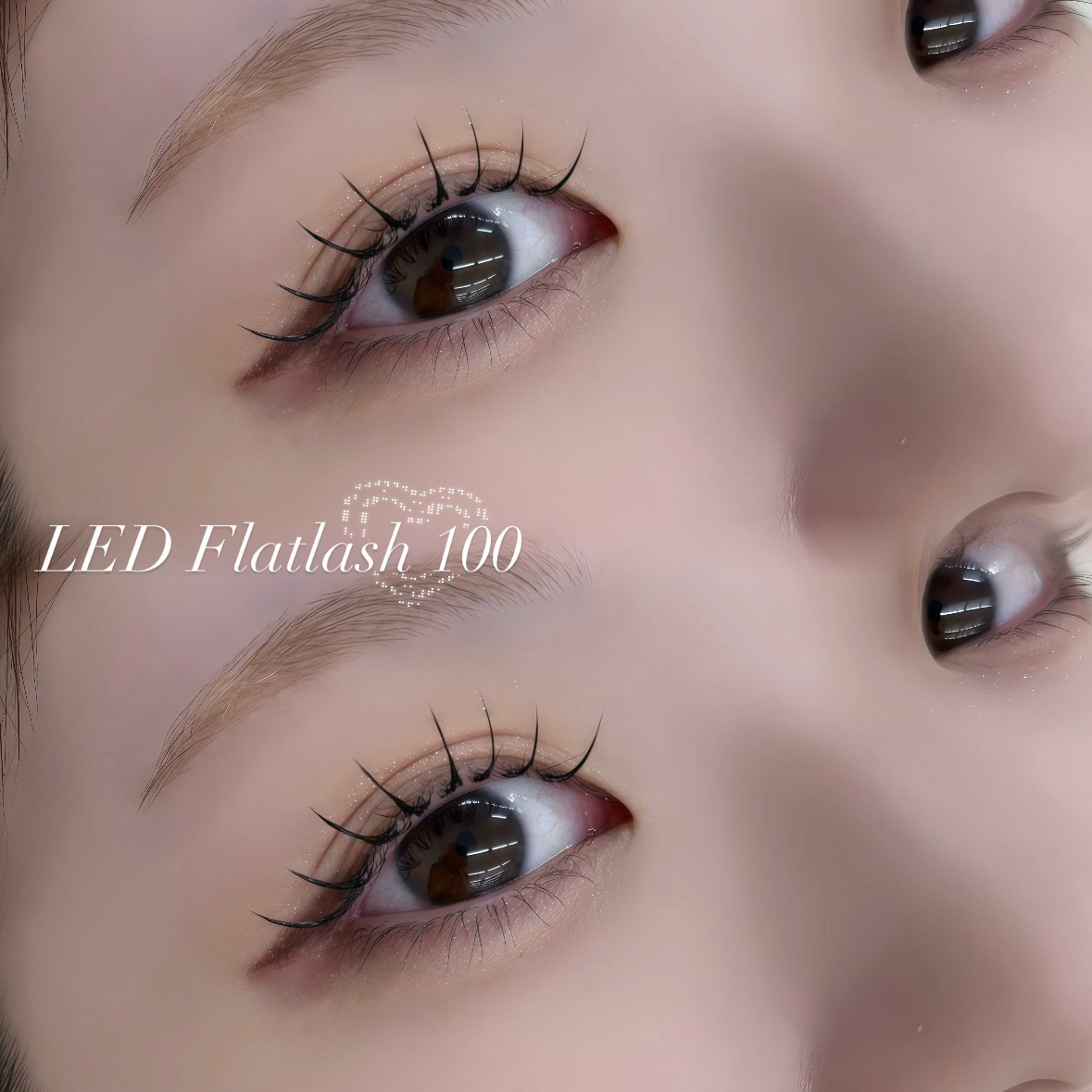 licca_trueye