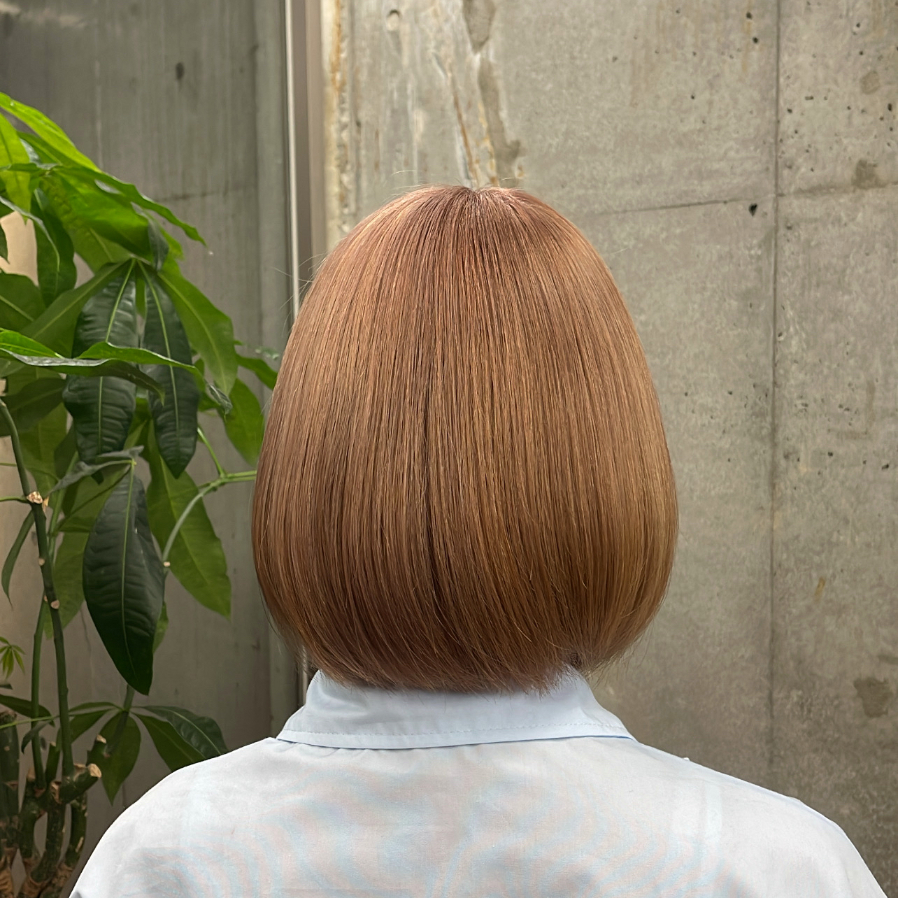 YoheiKawaguchi