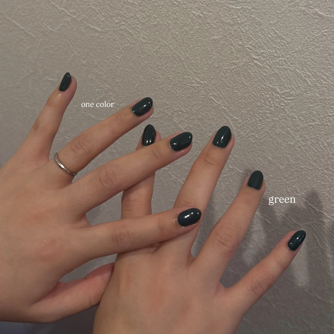 ssnail