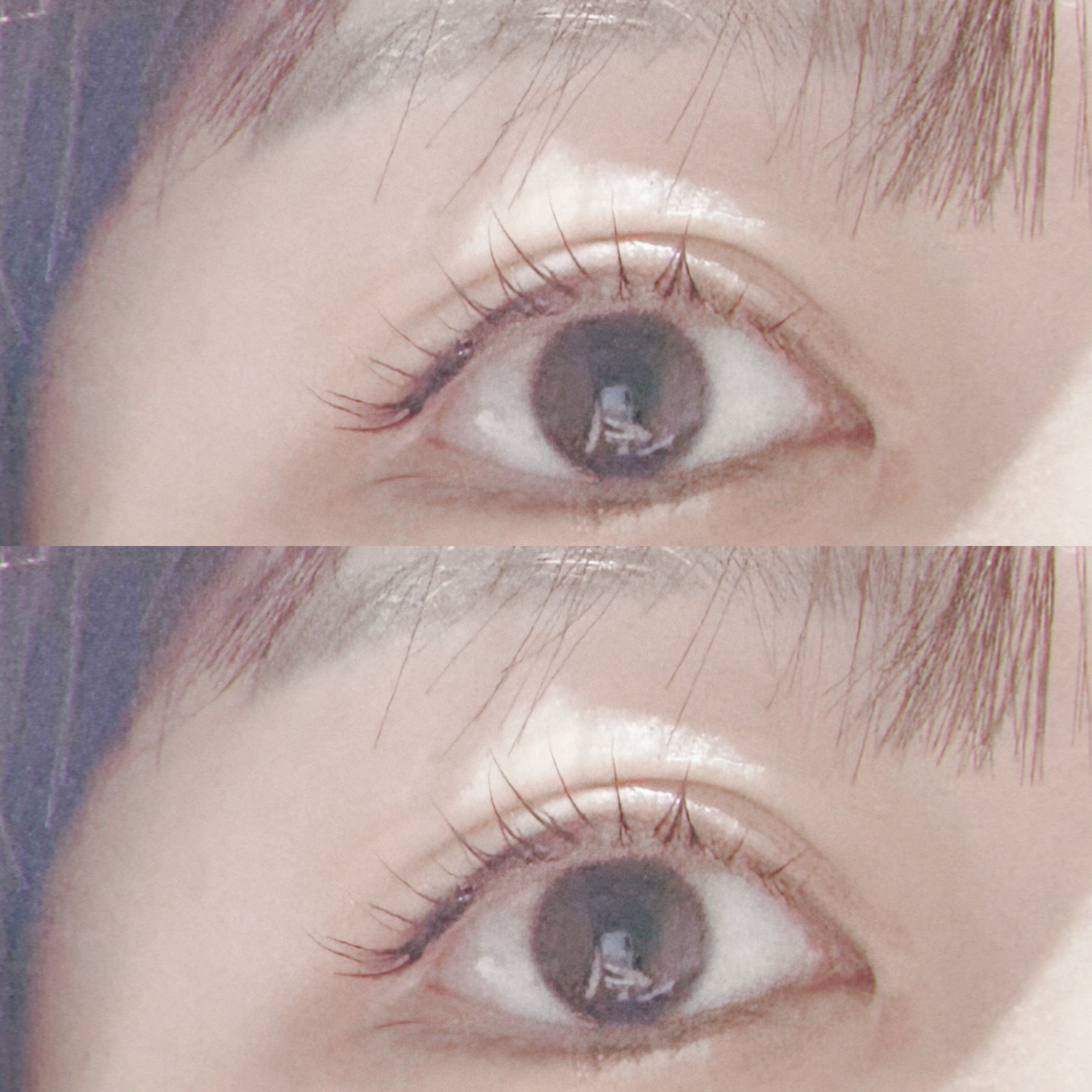 Flore_shinsaibashi