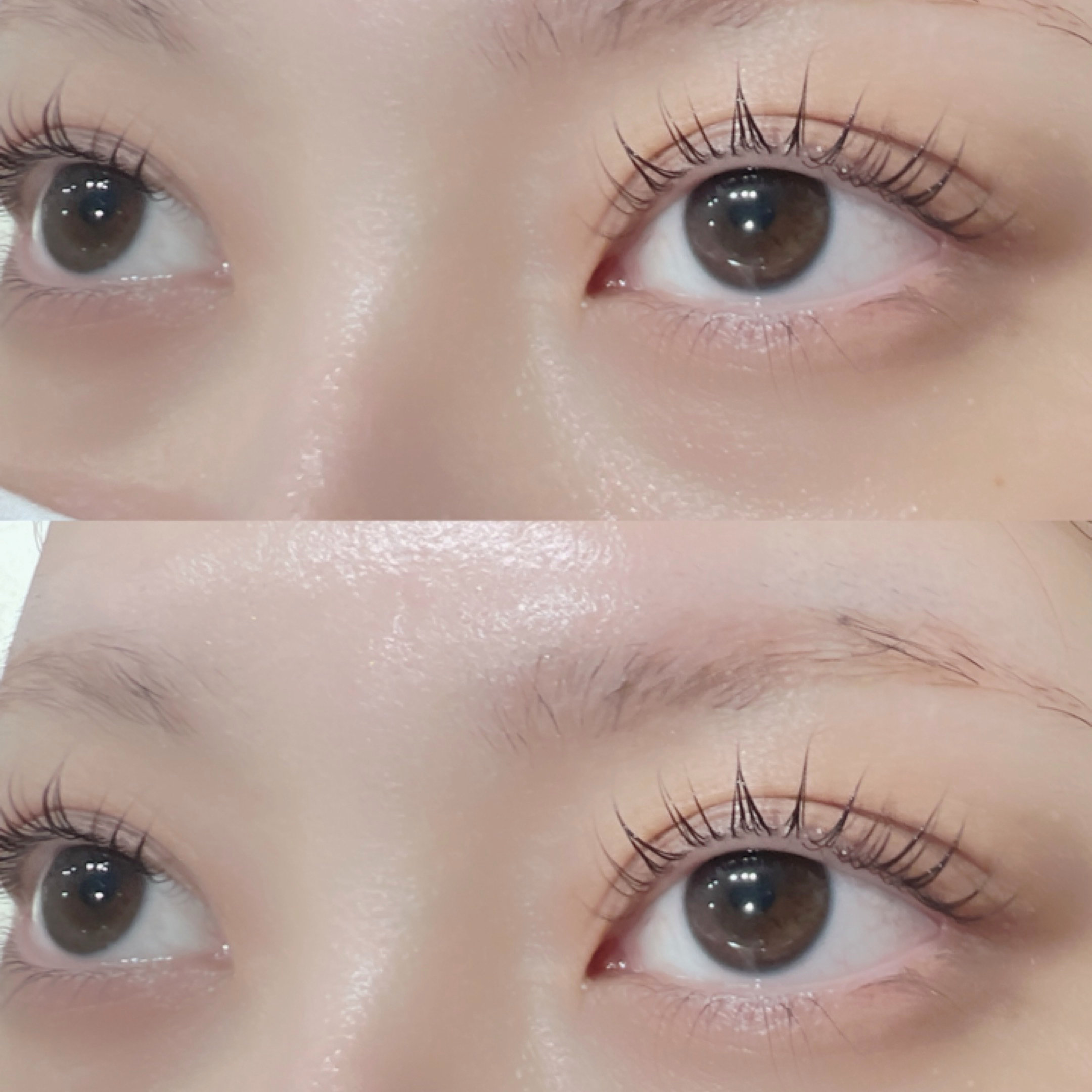 Gunji_eyelash