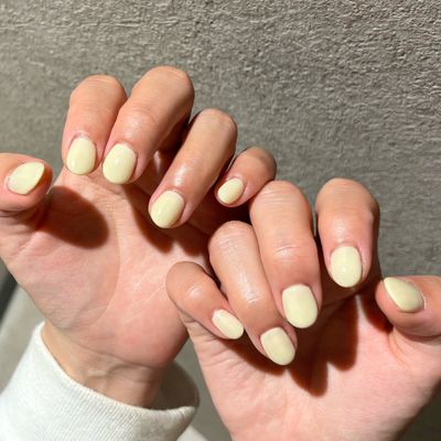 【ワンカラーorグラデーション】