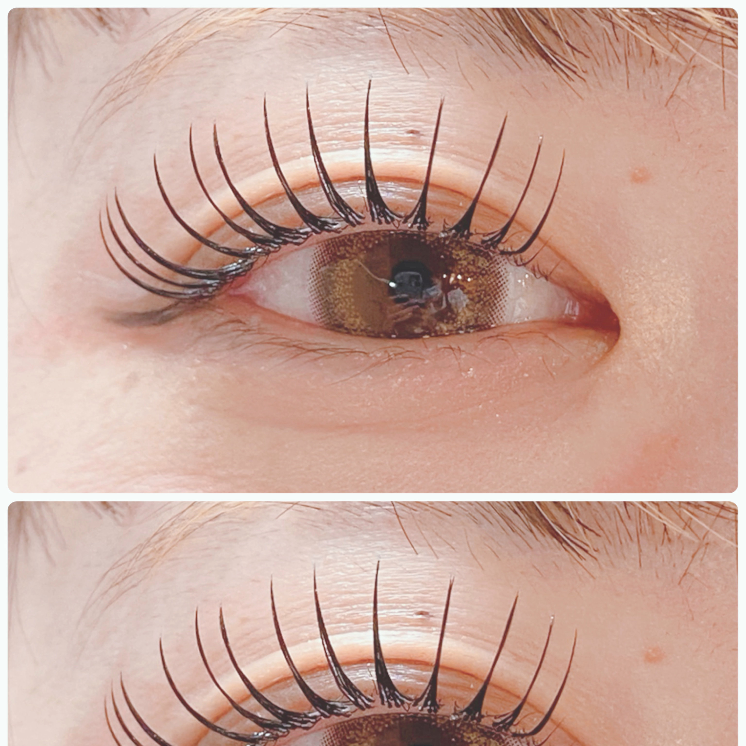 eyelash.ayumi