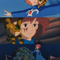 shirakochan