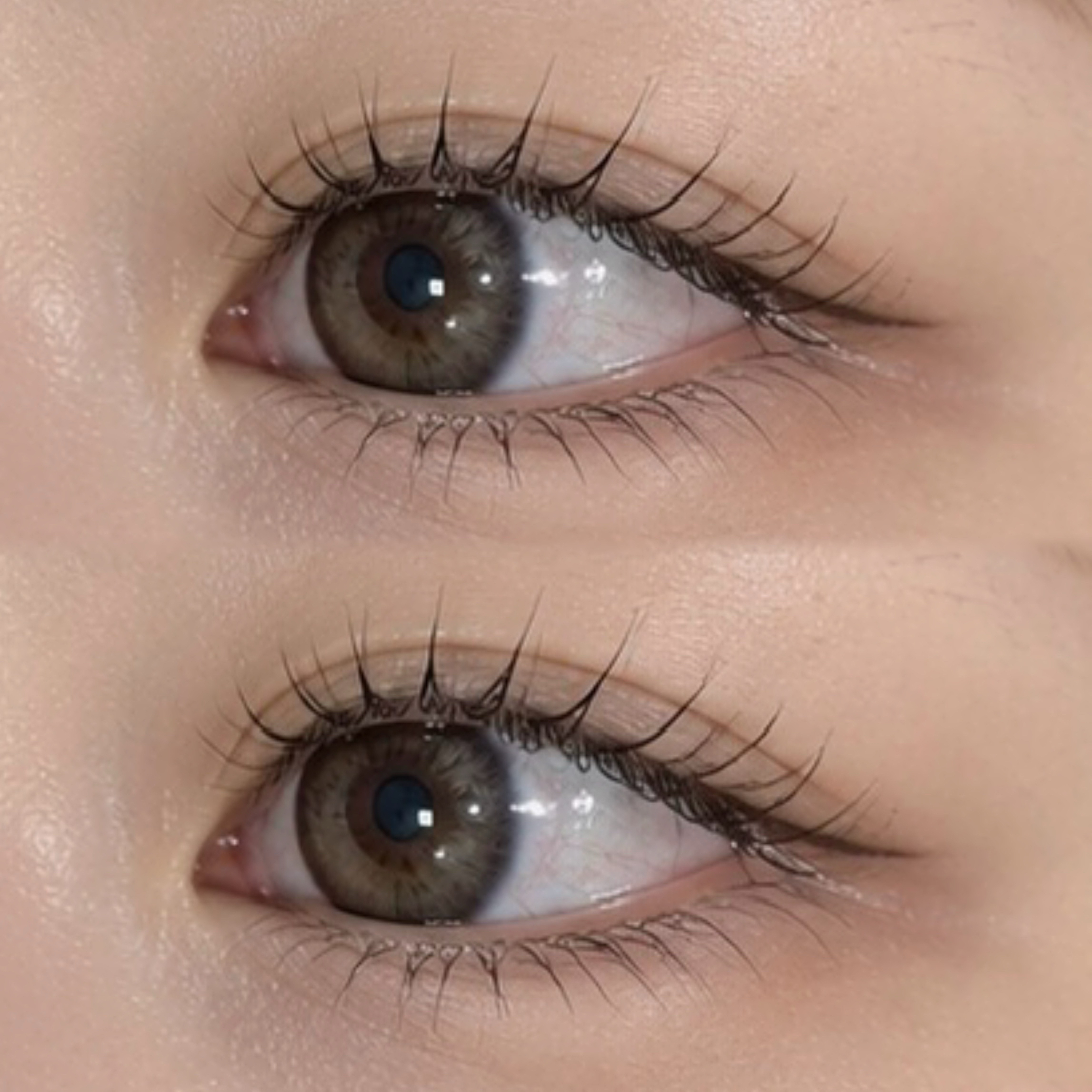 BUCKS_eye
