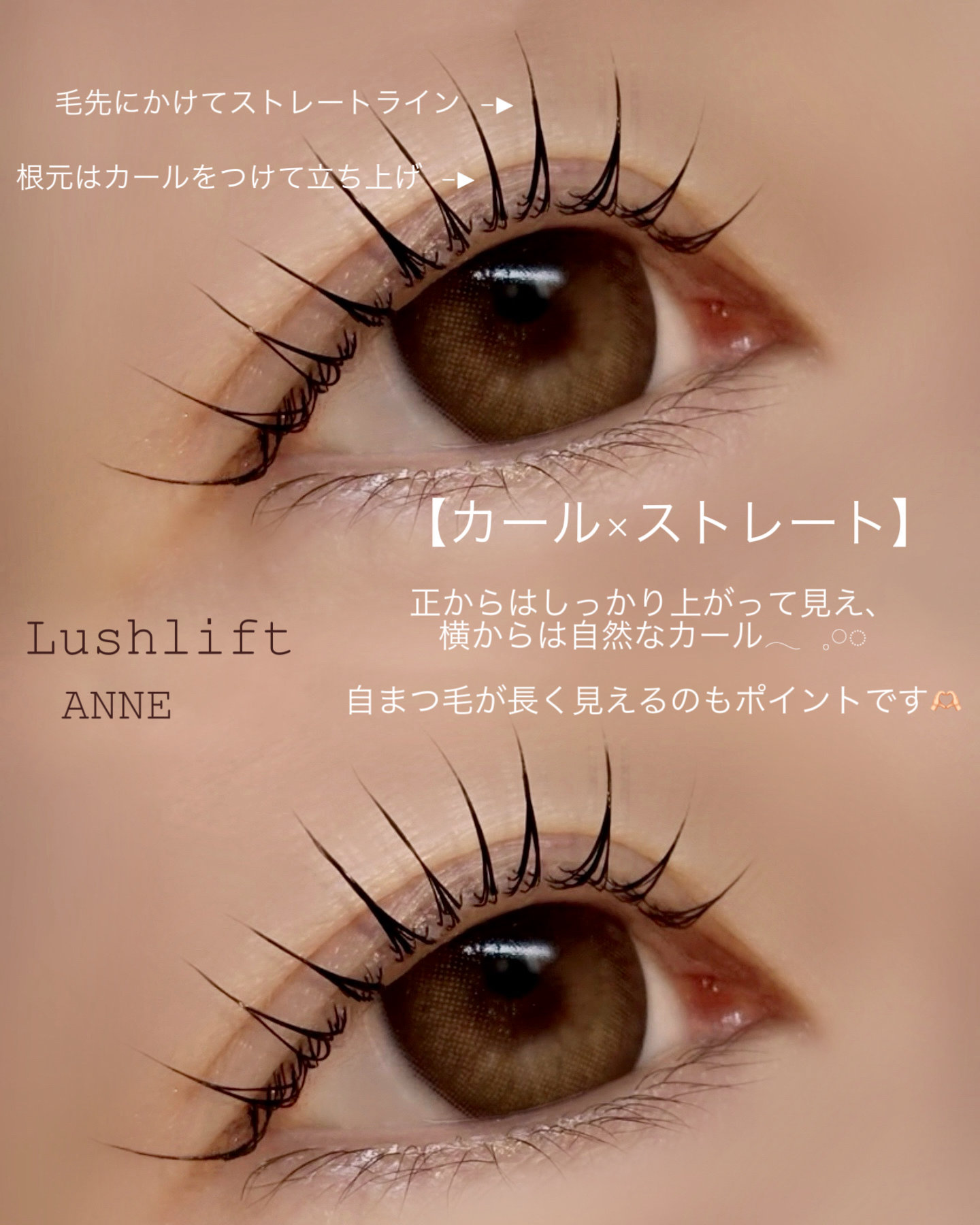 anne_chizu