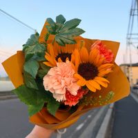 Atz_mg