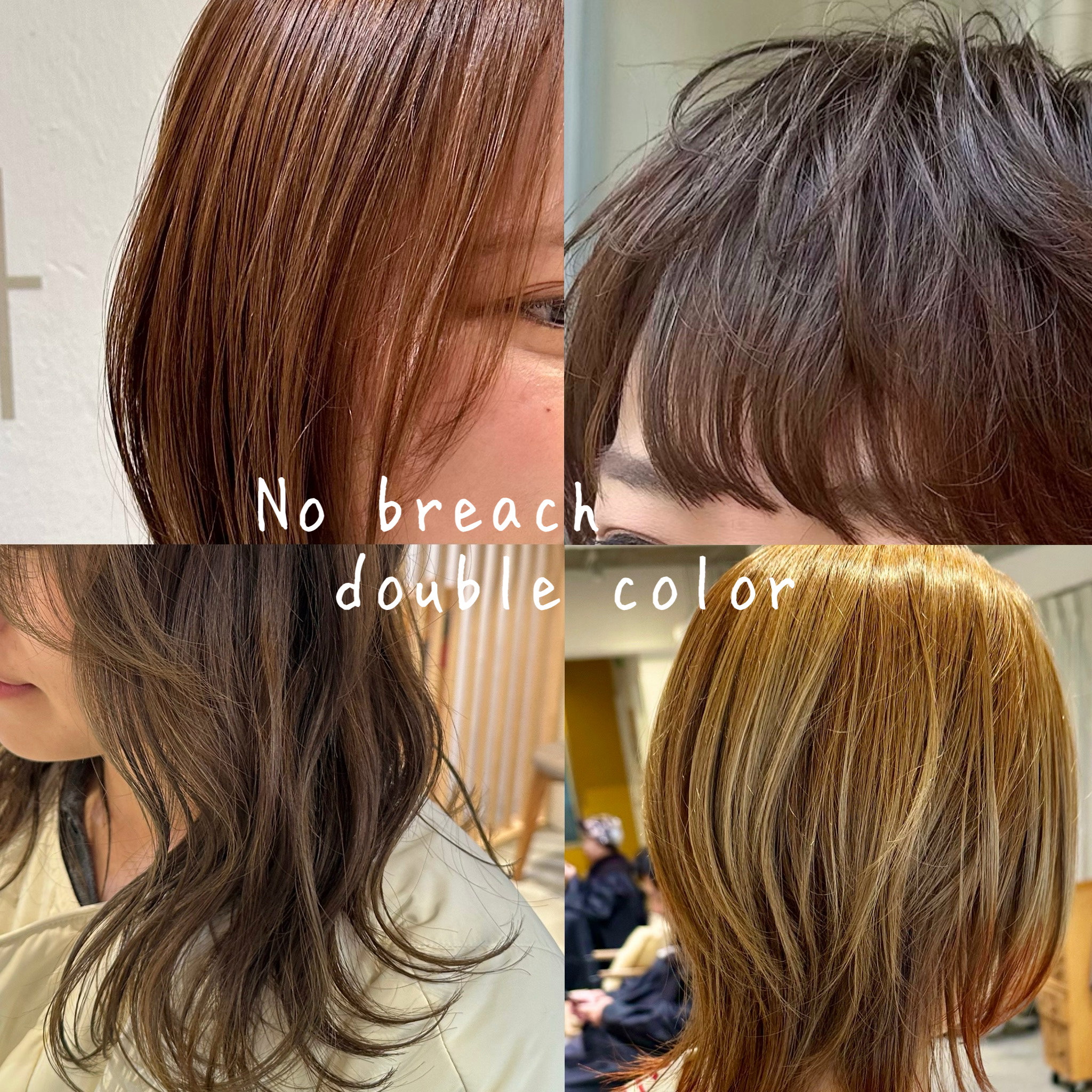 ent_nishiguchi