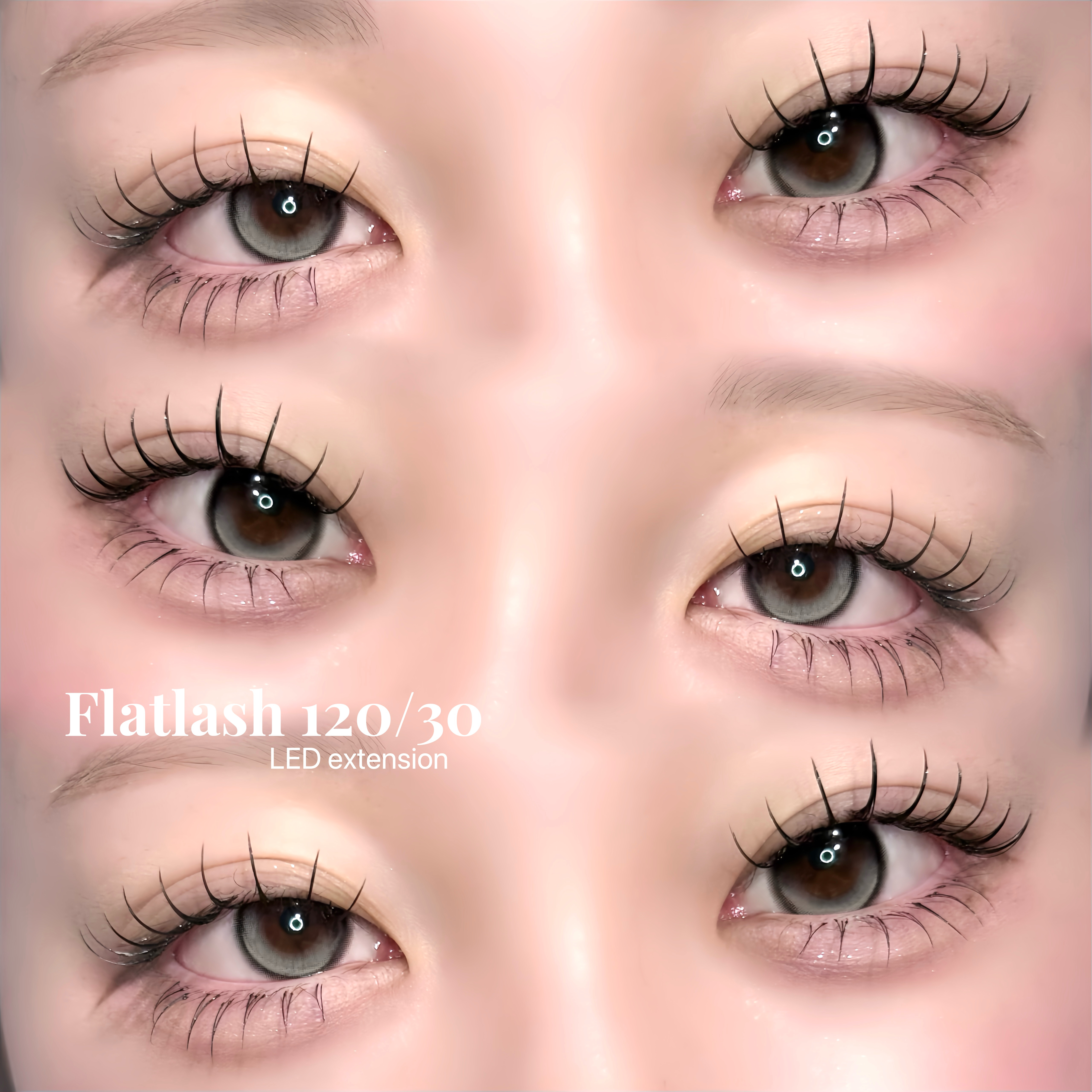 fein_yumina