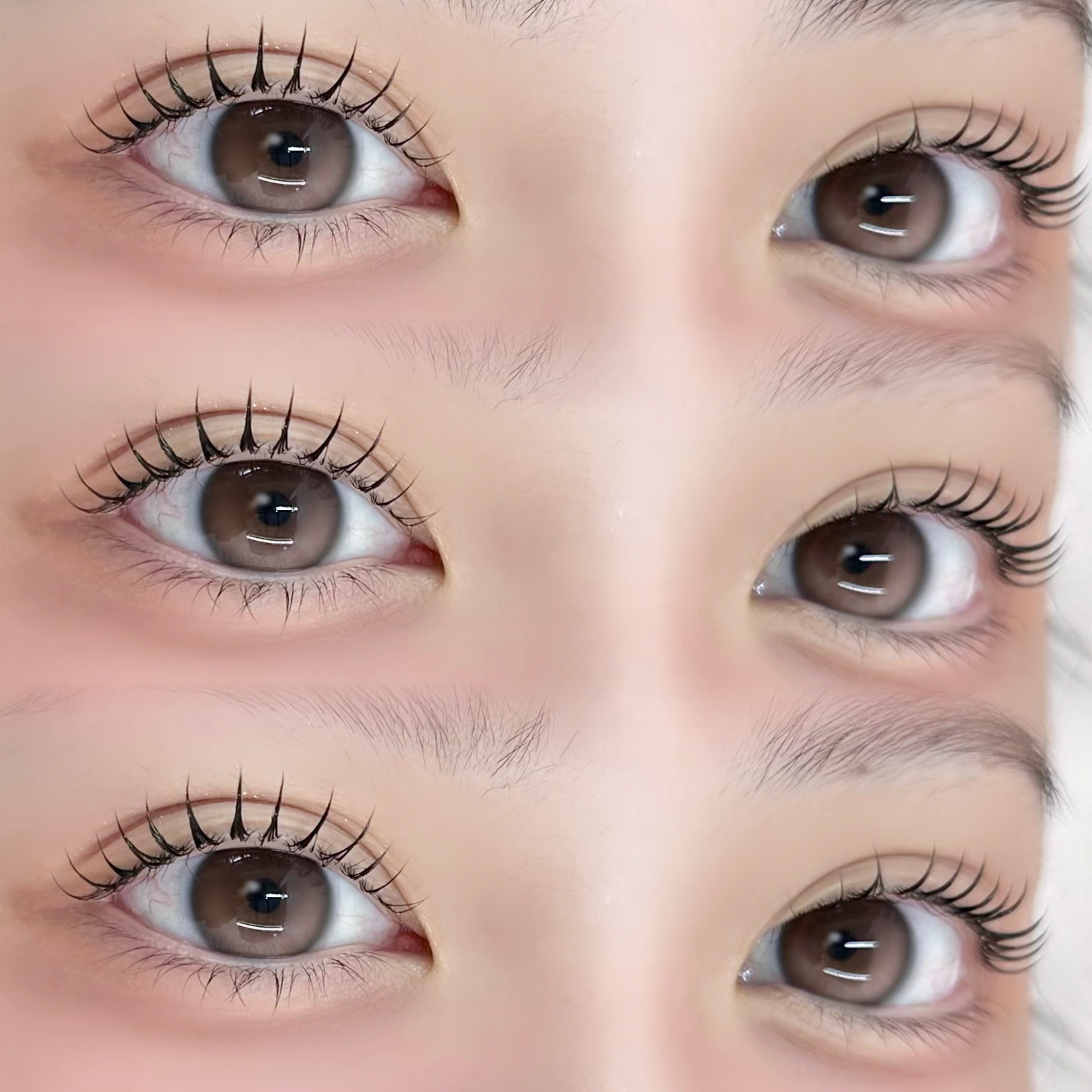 haruu7_daisy