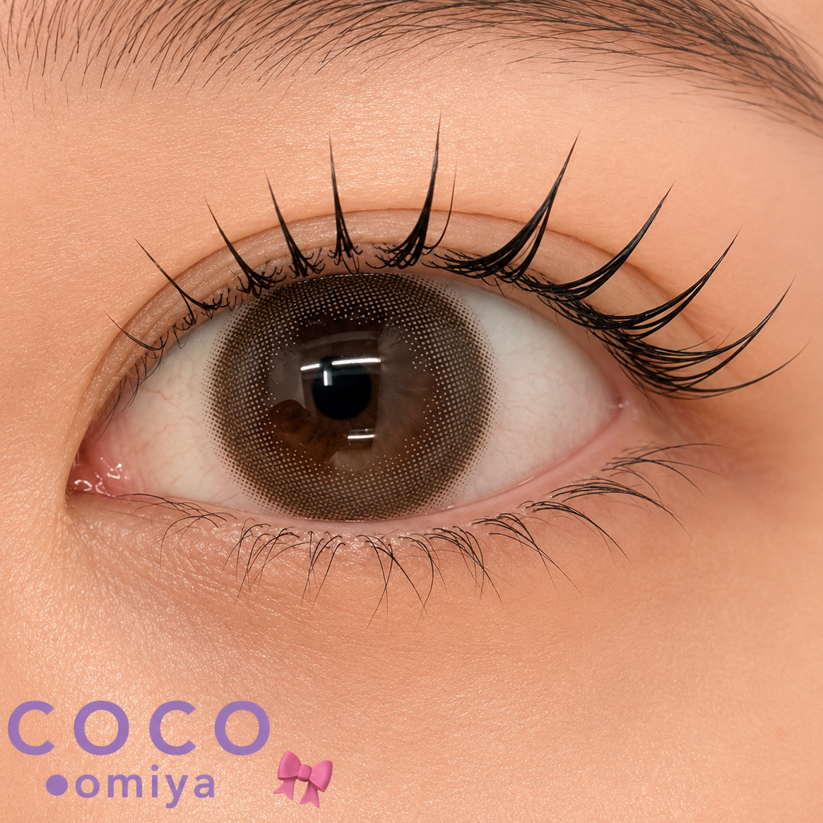 coco_shizuku