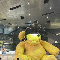 kiironokuma