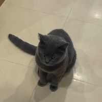 nana._._._.