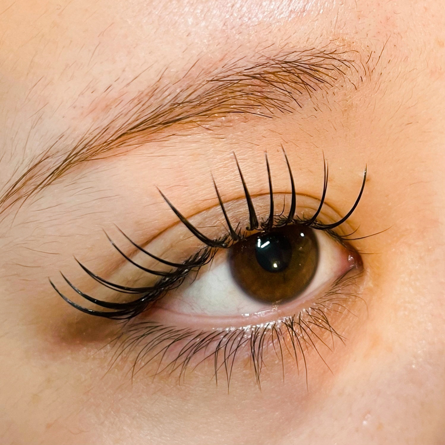 eyelash_kao