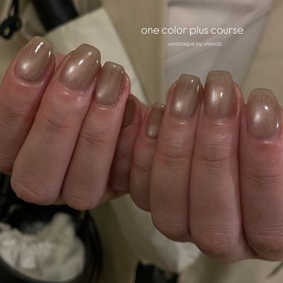 マグネット or フラッシュ